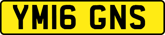 YM16GNS