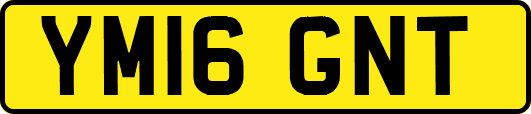 YM16GNT