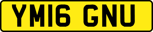 YM16GNU
