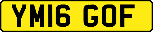 YM16GOF