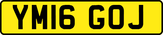 YM16GOJ