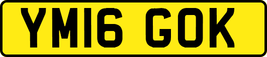 YM16GOK