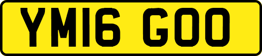 YM16GOO