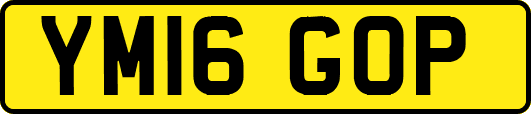 YM16GOP
