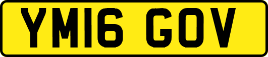 YM16GOV