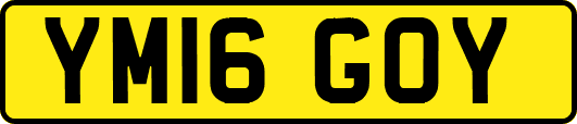 YM16GOY