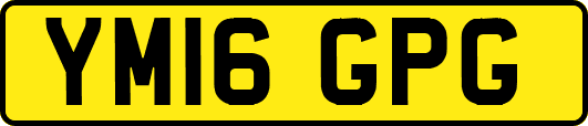 YM16GPG