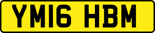 YM16HBM