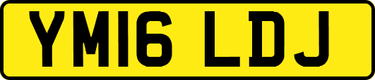 YM16LDJ