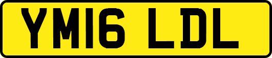 YM16LDL