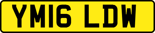 YM16LDW