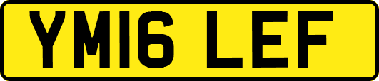 YM16LEF