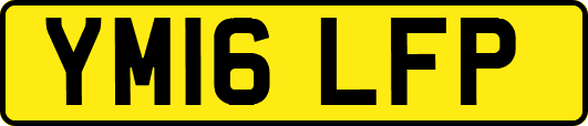 YM16LFP