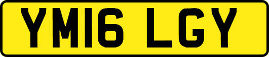 YM16LGY