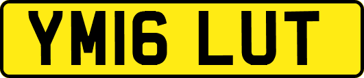 YM16LUT