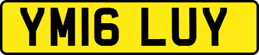 YM16LUY