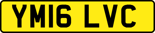 YM16LVC