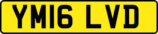 YM16LVD