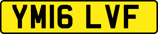 YM16LVF