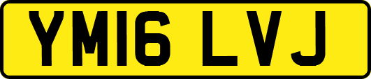 YM16LVJ