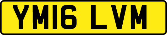 YM16LVM