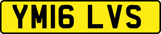 YM16LVS