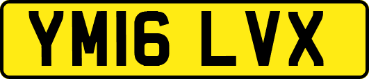 YM16LVX