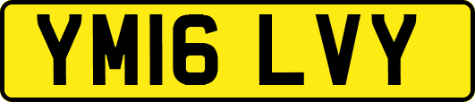 YM16LVY