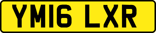 YM16LXR