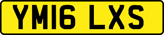 YM16LXS