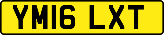 YM16LXT