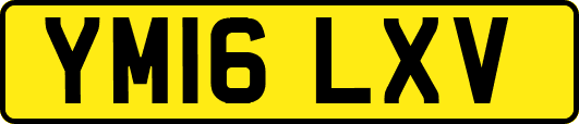 YM16LXV