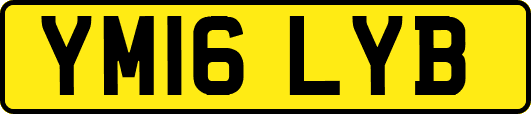 YM16LYB