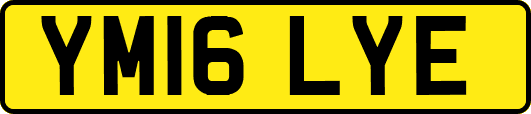 YM16LYE