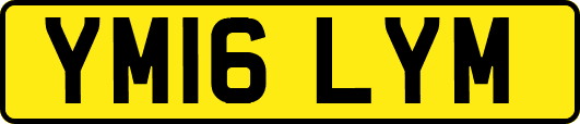 YM16LYM