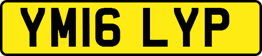 YM16LYP