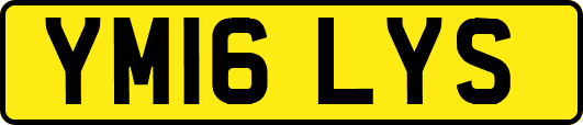 YM16LYS