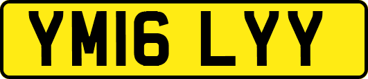 YM16LYY