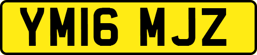 YM16MJZ