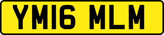 YM16MLM