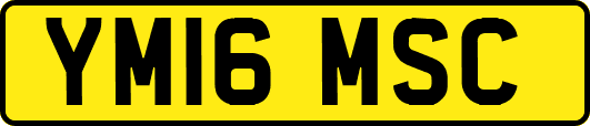 YM16MSC