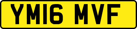 YM16MVF