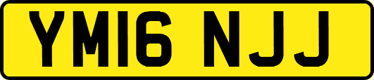 YM16NJJ