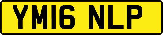 YM16NLP