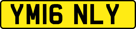 YM16NLY