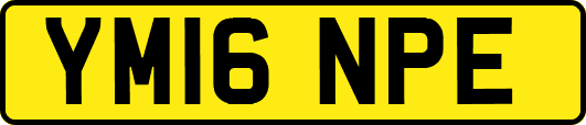 YM16NPE