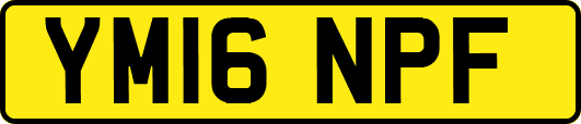 YM16NPF