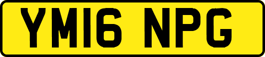 YM16NPG
