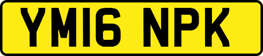 YM16NPK