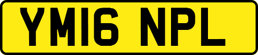 YM16NPL